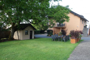 Ferienwohnung Hoffmann - Eifel